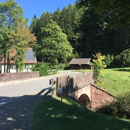 Apartament Schoenmuenzblick - Urlaub Im Nationalpark Schwarzwald - Schwarzwald Inklusive
