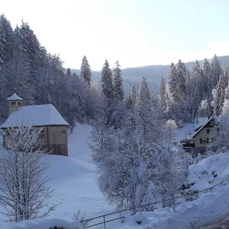 Apartament Schoenmuenzblick - Urlaub Im Nationalpark Schwarzwald - Schwarzwald Inklusive