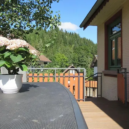 Schoenmuenzblick - Urlaub Im Nationalpark Schwarzwald - Schwarzwald Inklusive Apartament