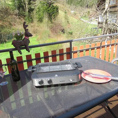 Schoenmuenzblick - Urlaub Im Nationalpark Schwarzwald - Schwarzwald Inklusive Apartament Baiersbronn