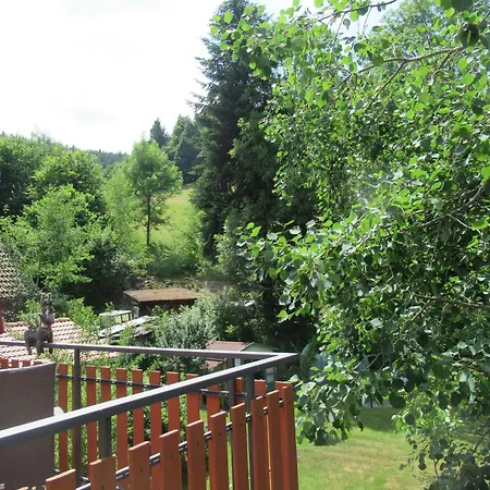 Schoenmuenzblick - Urlaub Im Nationalpark Schwarzwald - Schwarzwald Inklusive Apartment Baiersbronn